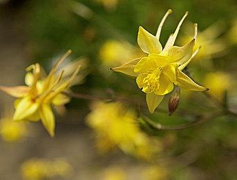 《消逝的光芒2》延期被修复 或将添加更多复活节彩蛋
